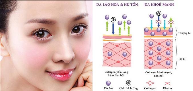nuoc hoa hong collagen cellio moisture skin 7